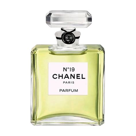 chanel powdery perfume|chanel no 19 sample.